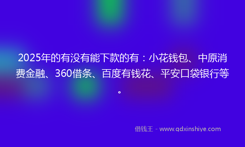 2025年的有没有能下款的有：小花钱包、中原消费金融、360借条、百度有钱花、平安口袋银行等。