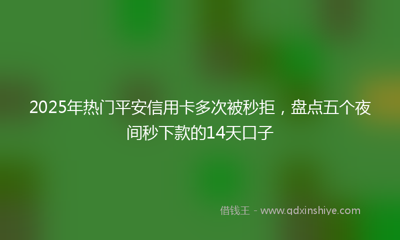 2025年热门平安信用卡多次被秒拒，盘点五个夜间秒下款的14天口子