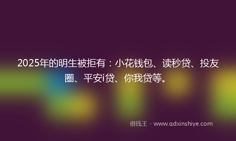 2025年的明生被拒有：小花钱包、读秒贷、投友圈、平安i贷、你我贷等。