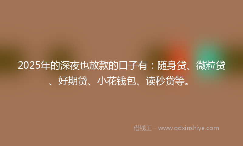 2025年的深夜也放款的口子有：随身贷、微粒贷、好期贷、小花钱包、读秒贷等。
