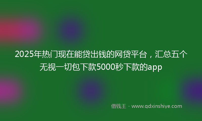 2025年热门现在能贷出钱的网贷平台，汇总五个无视一切包下款5000秒下款的app