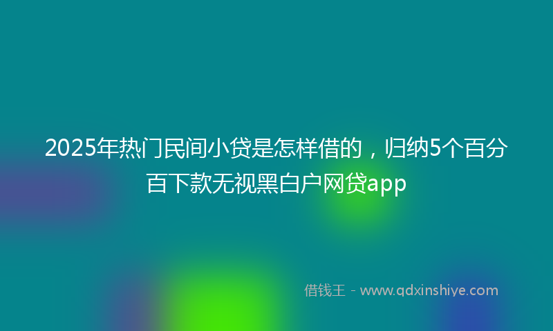 2025年热门民间小贷是怎样借的，归纳5个百分百下款无视黑白户网贷app