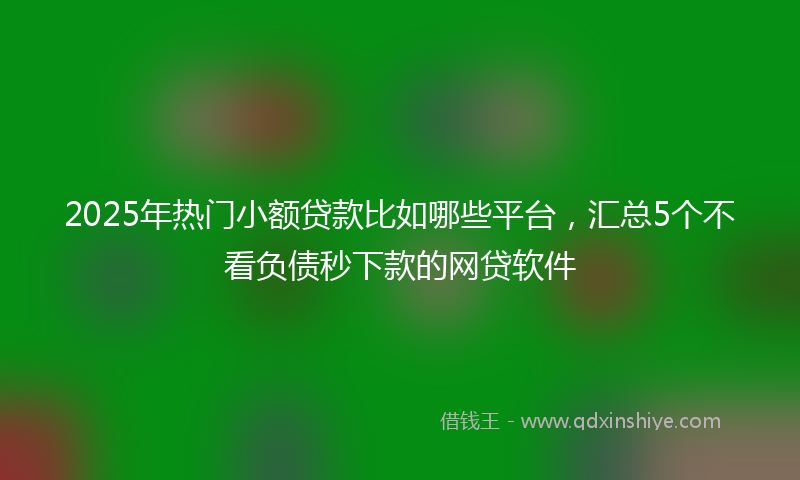 2025年热门小额贷款比如哪些平台,汇总5个不看负债秒下款的网贷软件