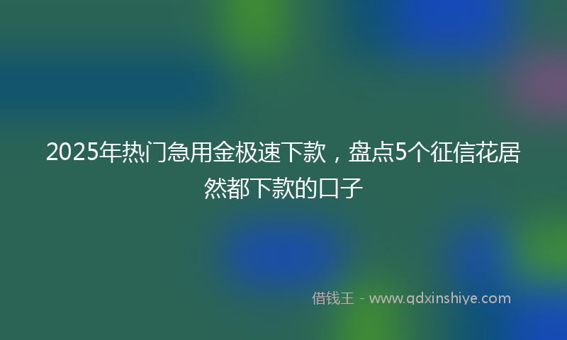 2025年热门急用金极速下款，盘点5个征信花居然都下款的口子