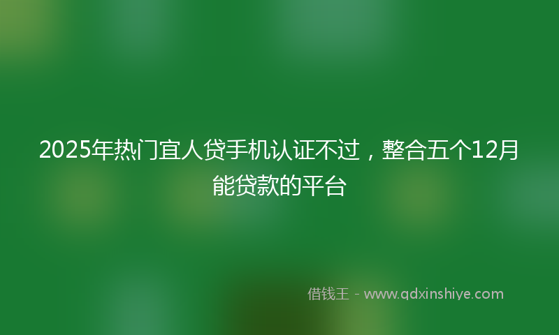 2025年热门宜人贷手机认证不过，整合五个12月能贷款的平台