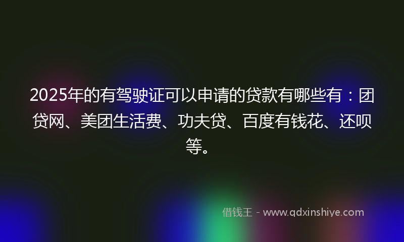2025年的有驾驶证可以申请的贷款有哪些有：团贷网、美团生活费、功夫贷、百度有钱花、还呗等。