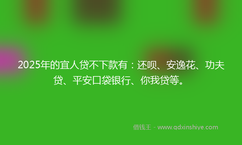 2025年的宜人贷不下款有：还呗、安逸花、功夫贷、平安口袋银行、你我贷等。