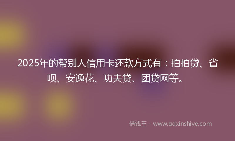 2025年的帮别人信用卡还款方式有：拍拍贷、省呗、安逸花、功夫贷、团贷网等。