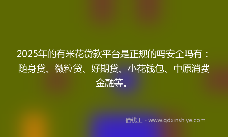 2025年的有米花贷款平台是正规的吗安全吗有：随身贷、微粒贷、好期贷、小花钱包、中原消费金融等。