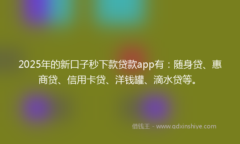 2025年的新口子秒下款贷款app有：随身贷、惠商贷、信用卡贷、洋钱罐、滴水贷等。