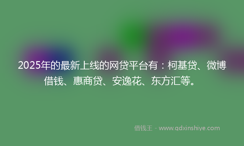 2025年的最新上线的网贷平台有：柯基贷、微博借钱、惠商贷、安逸花、东方汇等。