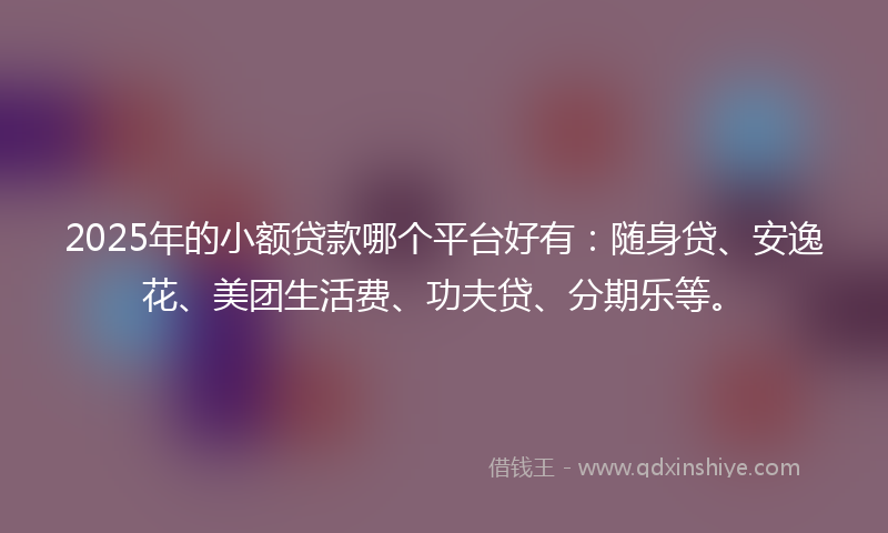 2025年的小额贷款哪个平台好有：随身贷、安逸花、美团生活费、功夫贷、分期乐等。