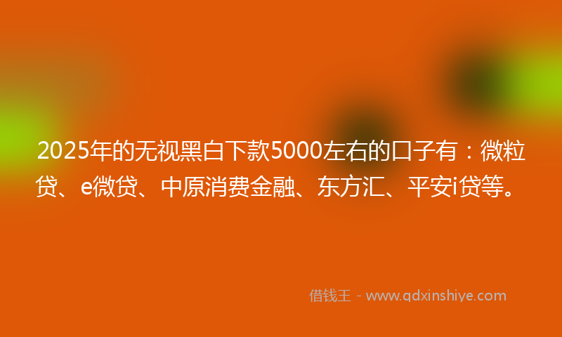 2025年的无视黑白下款5000左右的口子有：微粒贷、e微贷、中原消费金融、东方汇、平安i贷等。