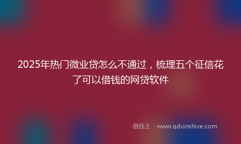 2025年热门微业贷怎么不通过,梳理五个征信花了可以借钱的网贷软件