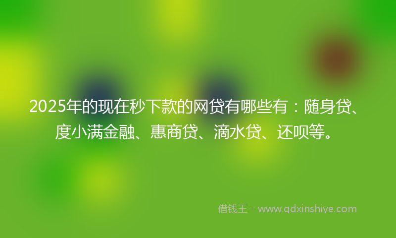 2025年的现在秒下款的网贷有哪些有：随身贷、度小满金融、惠商贷、滴水贷、还呗等。