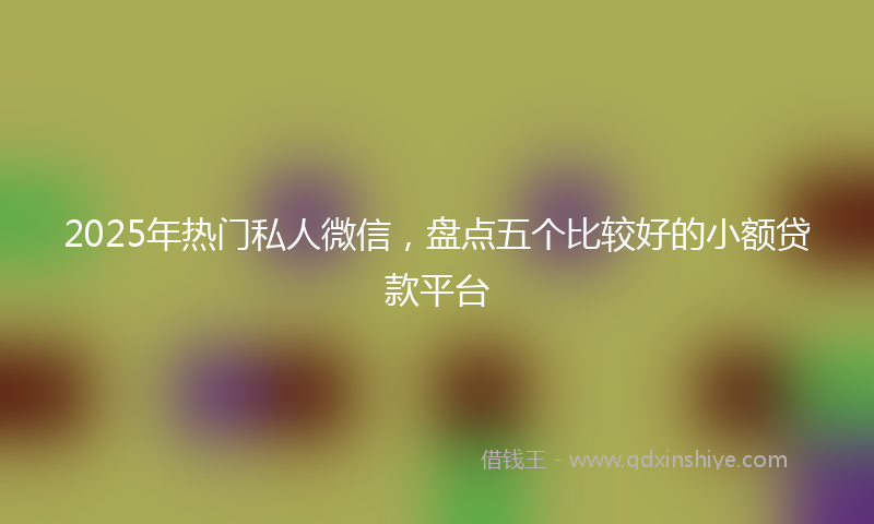 2025年热门私人微信，盘点五个比较好的小额贷款平台