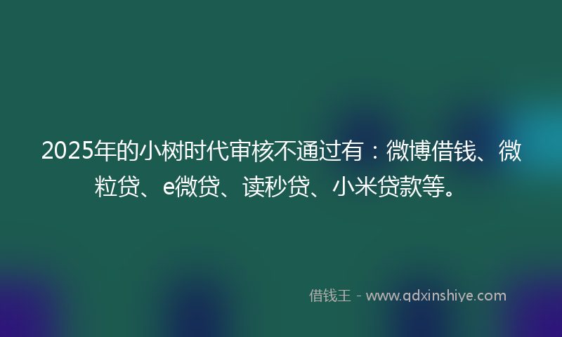 2025年的小树时代审核不通过有：微博借钱、微粒贷、e微贷、读秒贷、小米贷款等。