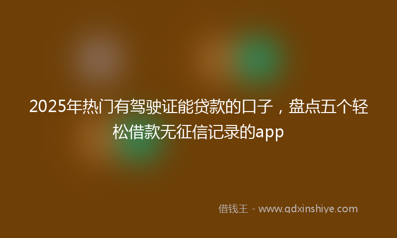 2025年热门有驾驶证能贷款的口子，盘点五个轻松借款无征信记录的app