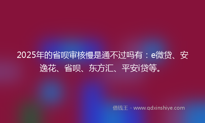 2025年的省呗审核慢是通不过吗有：e微贷、安逸花、省呗、东方汇、平安i贷等。