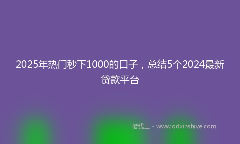2025年热门秒下1000的口子，总结5个2024最新贷款平台