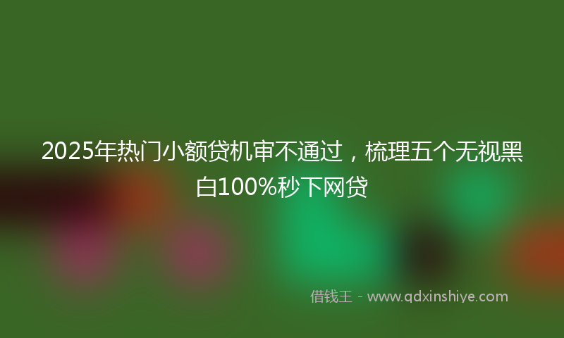 2025年热门小额贷机审不通过，梳理五个无视黑白100%秒下网贷