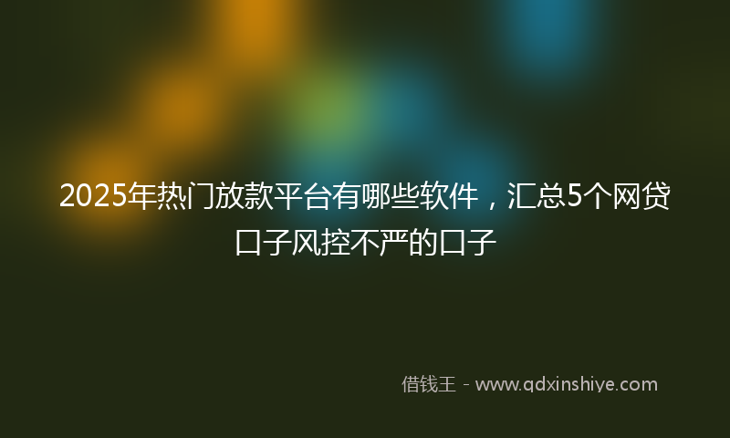 2025年热门放款平台有哪些软件，汇总5个网贷口子风控不严的口子