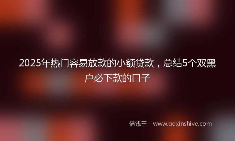 2025年热门容易放款的小额贷款，总结5个双黑户必下款的口子