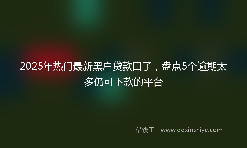 2025年热门最新黑户贷款口子，盘点5个逾期太多仍可下款的平台