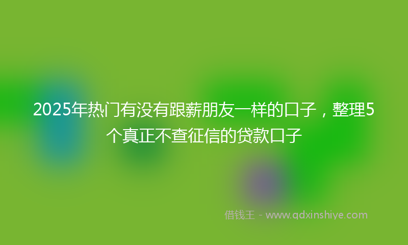 2025年热门有没有跟薪朋友一样的口子，整理5个真正不查征信的贷款口子