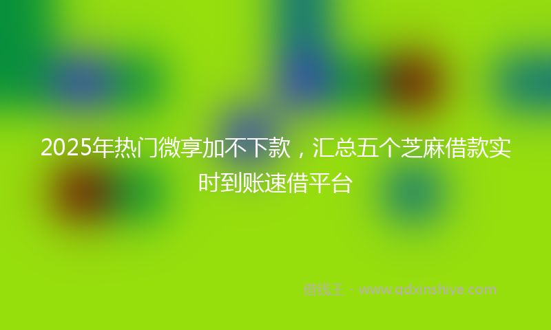 2025年热门微享加不下款，汇总五个芝麻借款实时到账速借平台