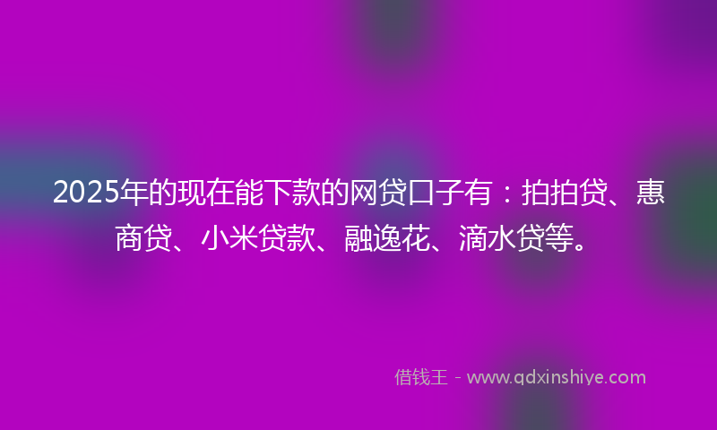 2025年的现在能下款的网贷口子有：拍拍贷、惠商贷、小米贷款、融逸花、滴水贷等。