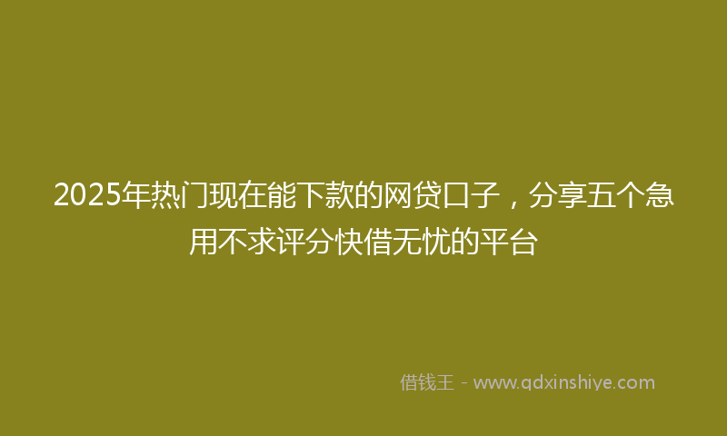 2025年热门现在能下款的网贷口子，分享五个急用不求评分快借无忧的平台
