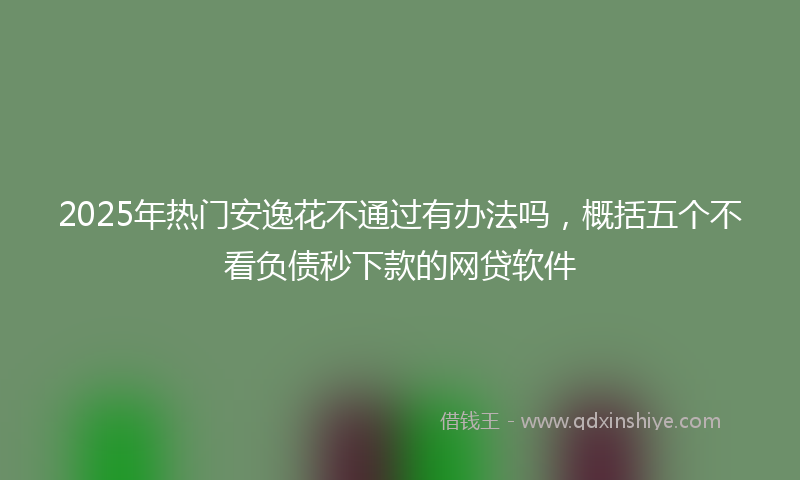 2025年热门安逸花不通过有办法吗，概括五个不看负债秒下款的网贷软件