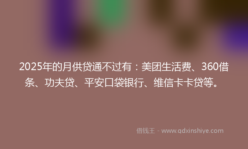 2025年的月供贷通不过有：美团生活费、360借条、功夫贷、平安口袋银行、维信卡卡贷等。
