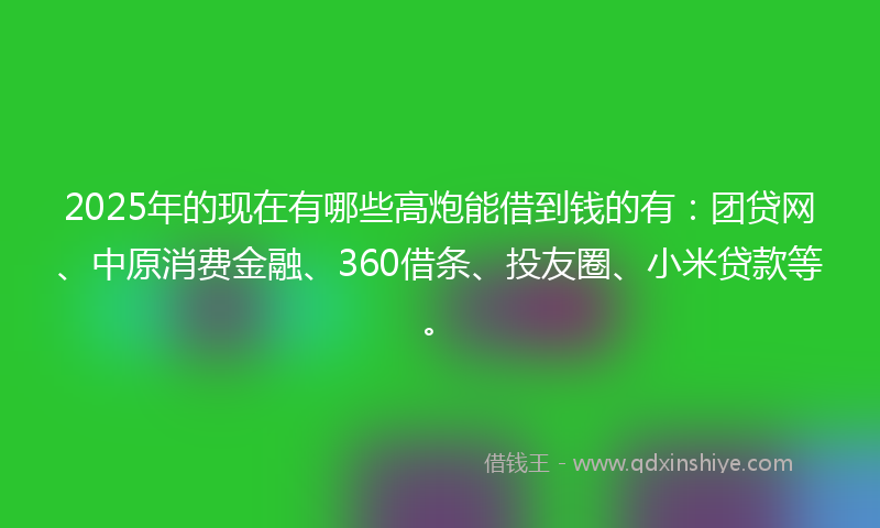 2025年的现在有哪些高炮能借到钱的有：团贷网、中原消费金融、360借条、投友圈、小米贷款等。