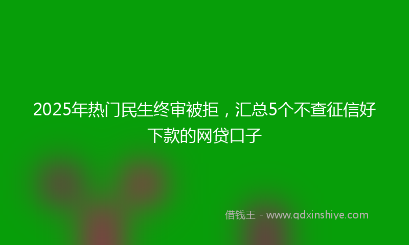 2025年热门民生终审被拒，汇总5个不查征信好下款的网贷口子