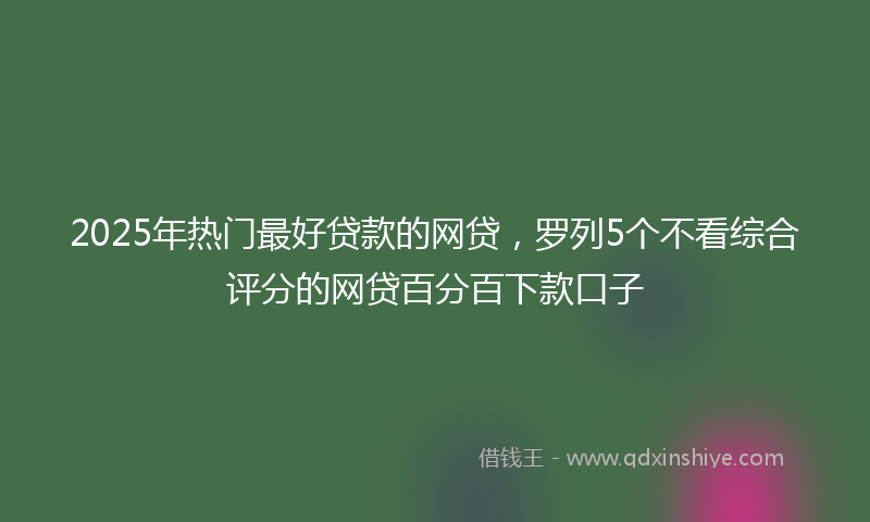 2025年热门最好贷款的网贷，罗列5个不看综合评分的网贷百分百下款口子