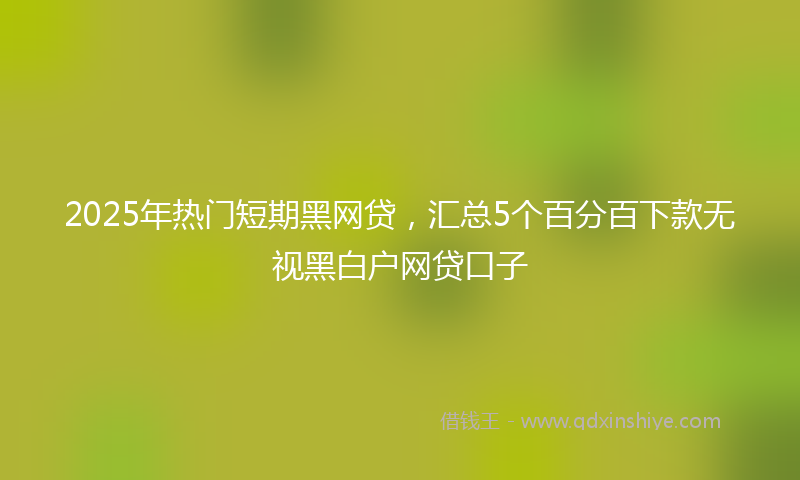 2025年热门短期黑网贷，汇总5个百分百下款无视黑白户网贷口子