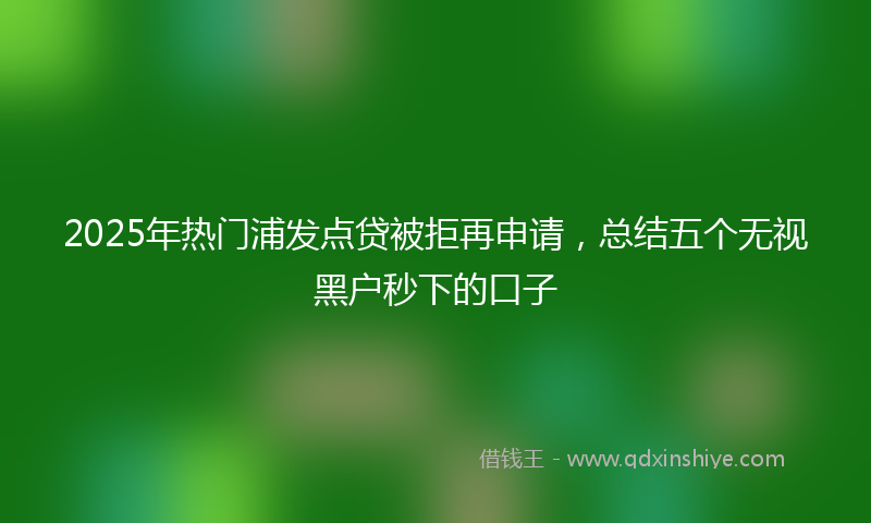 2025年热门浦发点贷被拒再申请，总结五个无视黑户秒下的口子