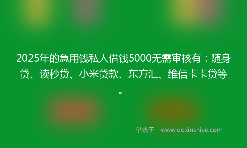 2025年的急用钱私人借钱5000无需审核有：随身贷、读秒贷、小米贷款、东方汇、维信卡卡贷等。