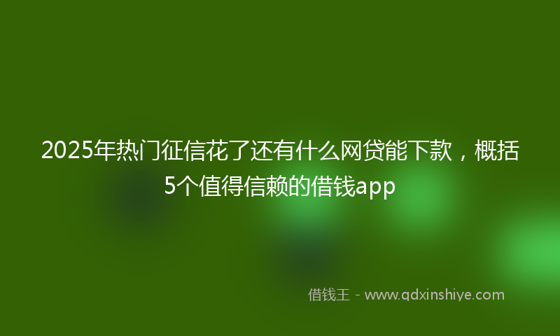 2025年热门征信花了还有什么网贷能下款，概括5个值得信赖的借钱app