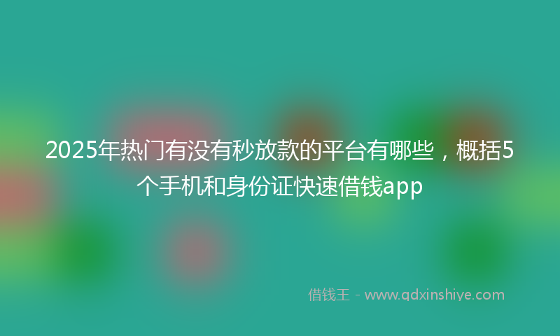 2025年热门有没有秒放款的平台有哪些，概括5个手机和身份证快速借钱app