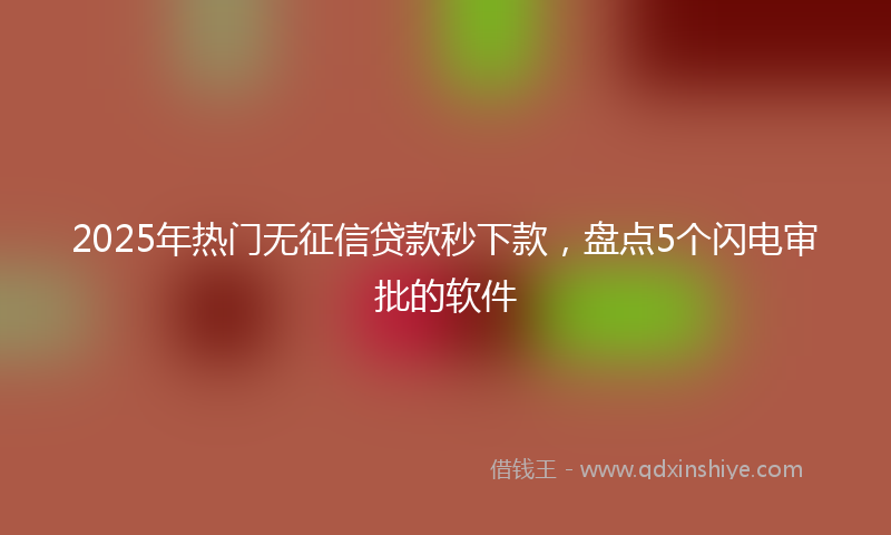 2025年热门无征信贷款秒下款，盘点5个闪电审批的软件