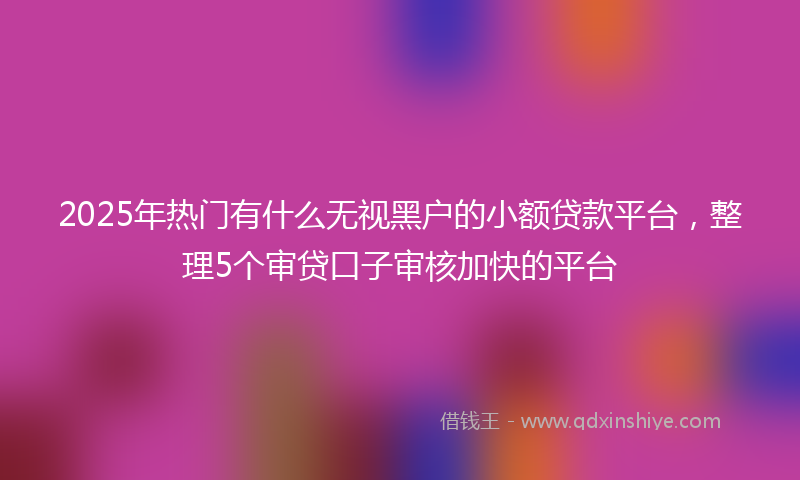 2025年热门有什么无视黑户的小额贷款平台，整理5个审贷口子审核加快的平台