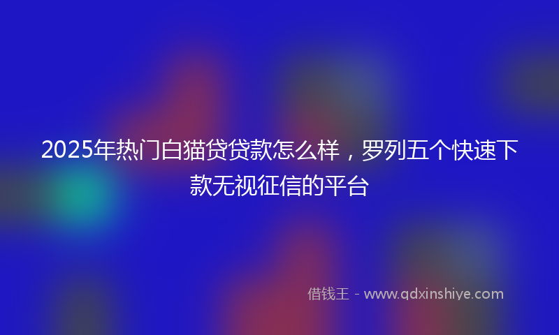 2025年热门白猫贷贷款怎么样，罗列五个快速下款无视征信的平台
