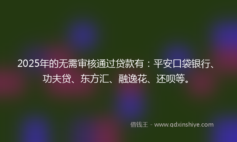 2025年的无需审核通过贷款有：平安口袋银行、功夫贷、东方汇、融逸花、还呗等。