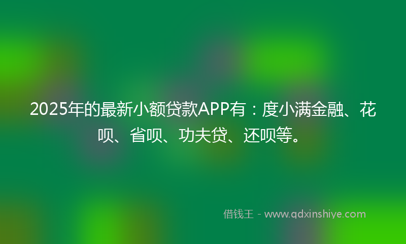 2025年的最新小额贷款APP有：度小满金融、花呗、省呗、功夫贷、还呗等。