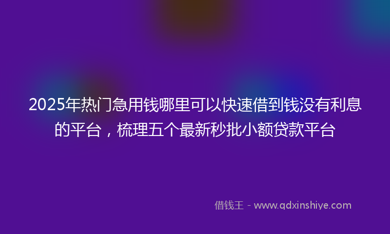 2025年热门急用钱哪里可以快速借到钱没有利息的平台，梳理五个最新秒批小额贷款平台
