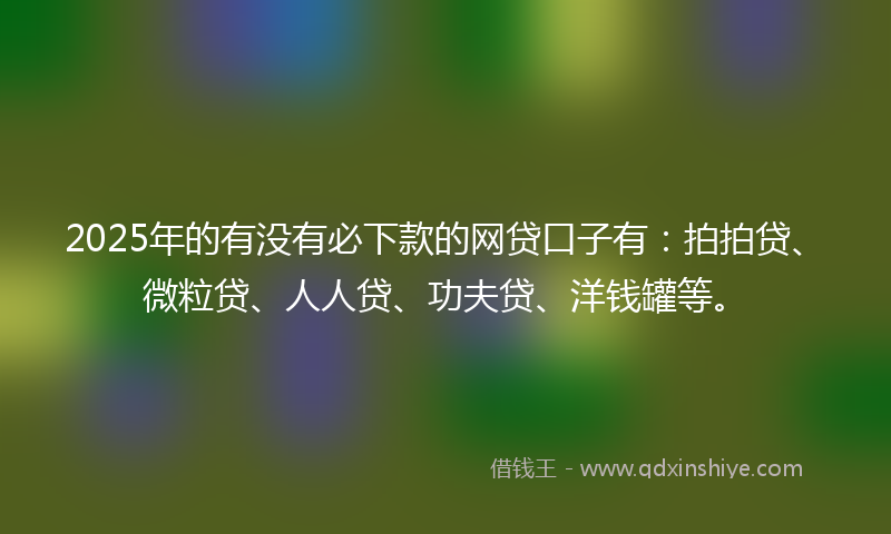 2025年的有没有必下款的网贷口子有：拍拍贷、微粒贷、人人贷、功夫贷、洋钱罐等。