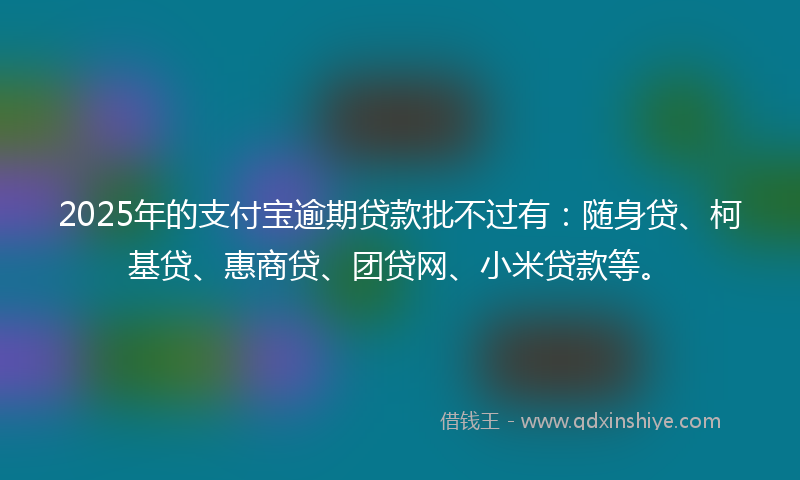 2025年的支付宝逾期贷款批不过有：随身贷、柯基贷、惠商贷、团贷网、小米贷款等。